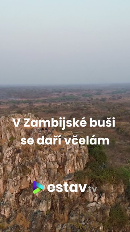 Výroba medu v Zambii